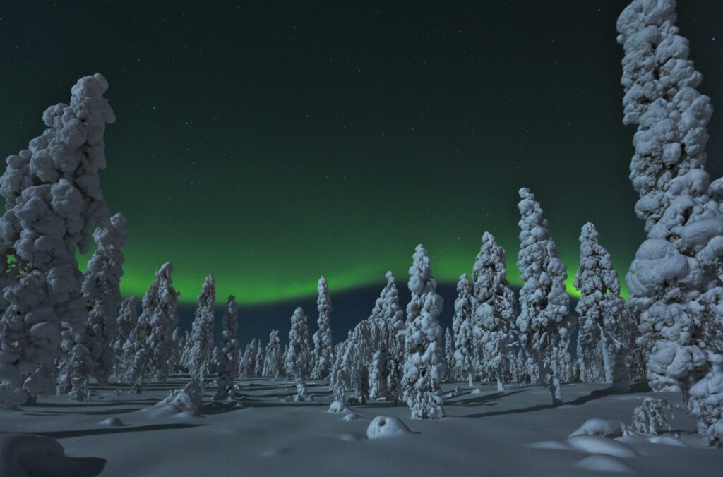 Northern lights